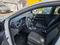 Ford Focus Style Weiß - thumbnail 9