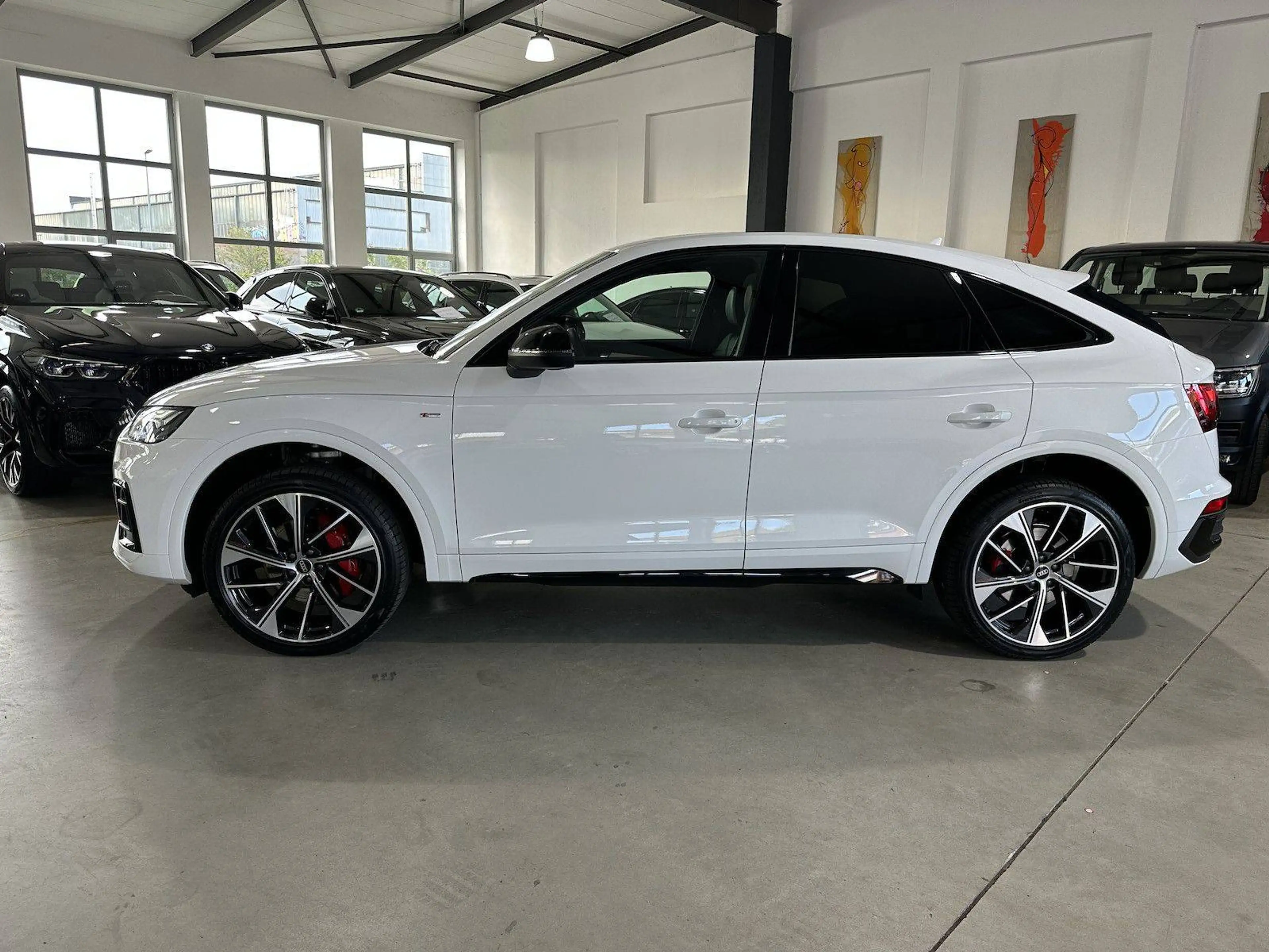 Audi Q5 50 TDI quattro S line — photo 8