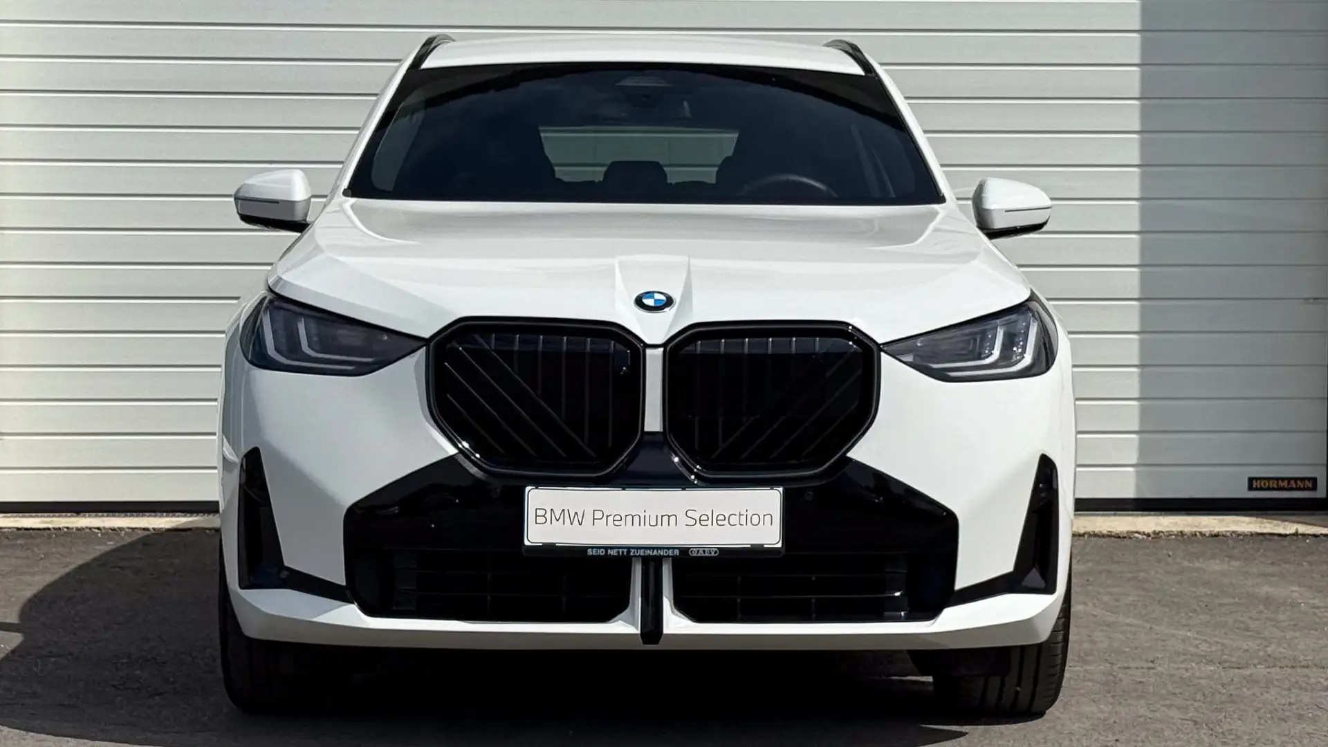 BMW X3 30e xDrive M-Sportpaket Pro Weiß - 2