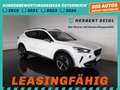 CUPRA Formentor 4x4 2,0 TDI DSG *18 ZOLL / VOLL-LED & FLA / VIR... Weiß - thumbnail 1