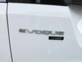 Land Rover Range Rover Evoque 2.0D MHEV HSE AWD Aut. 150 Blanc - thumbnail 7