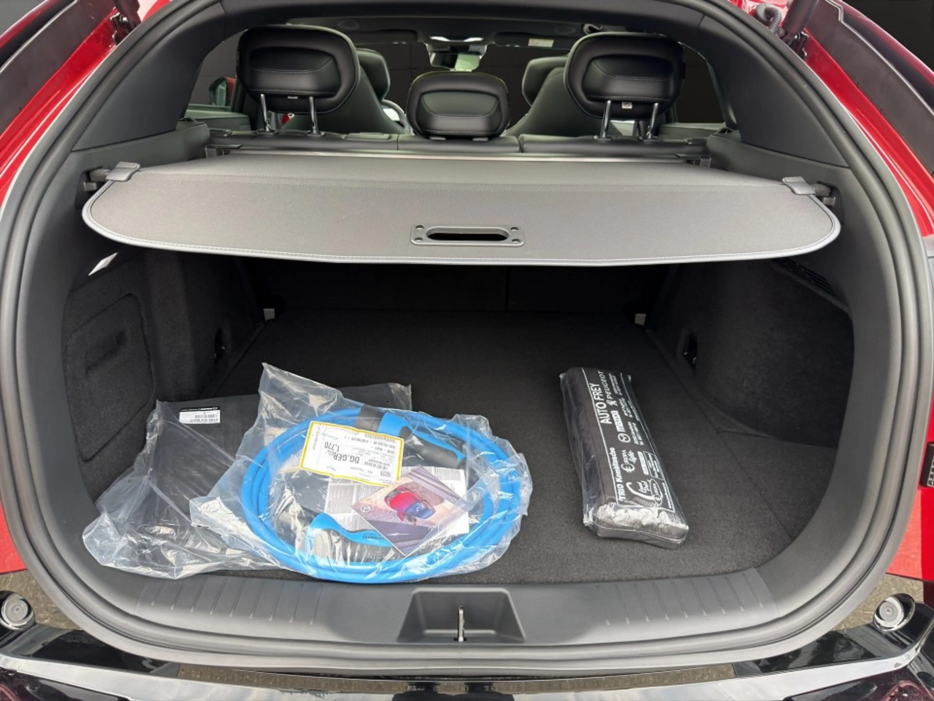 Mazda CX-6e EV 258ps Takumi BKTR PABS — photo 9