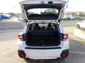 Subaru XV 2.0ie Platinum*2.Hd*AHK* Weiß - thumbnail 8