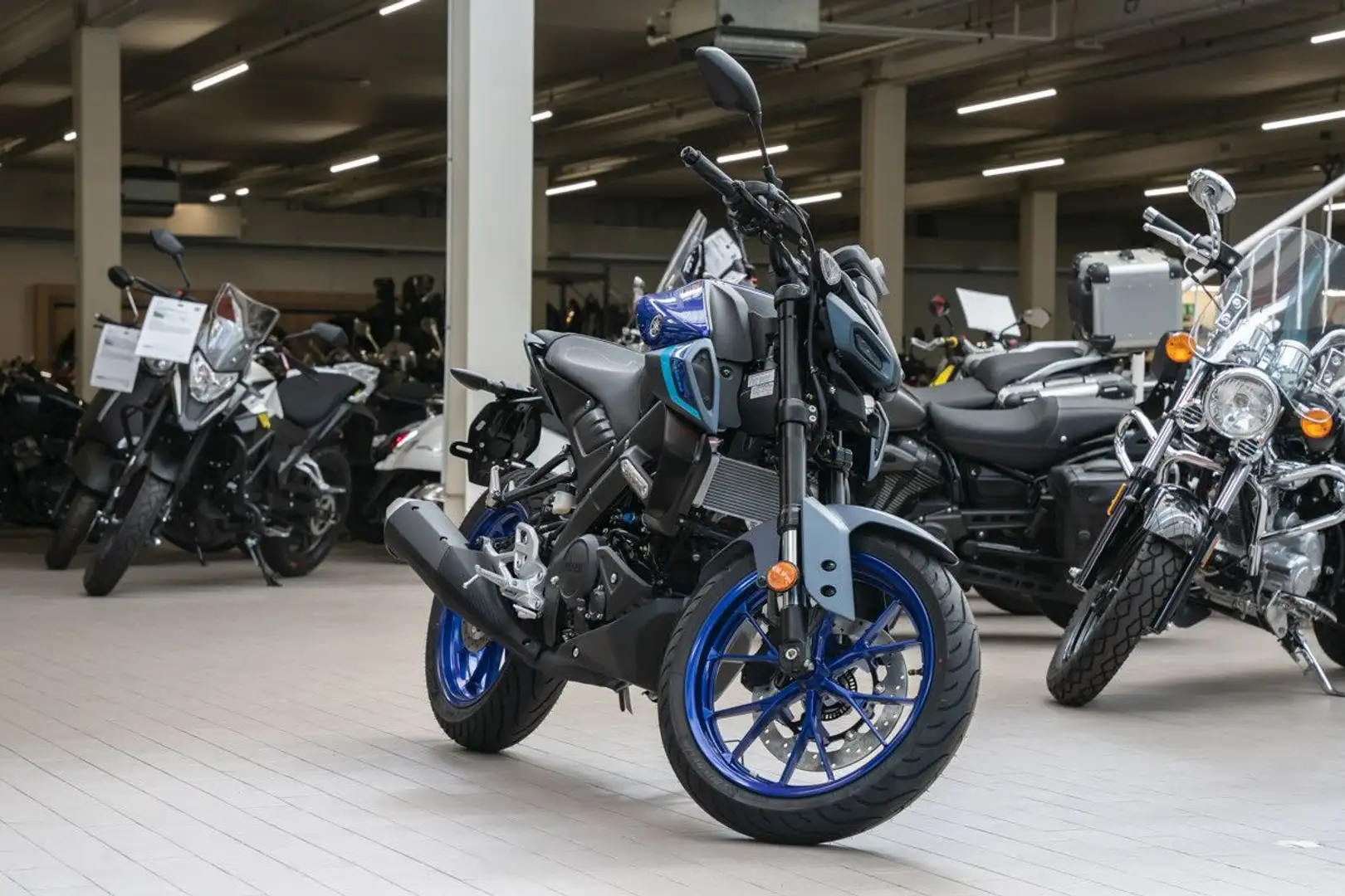 Yamaha MT-125 Modell 2025, sofort lieferbar Albastru - 2