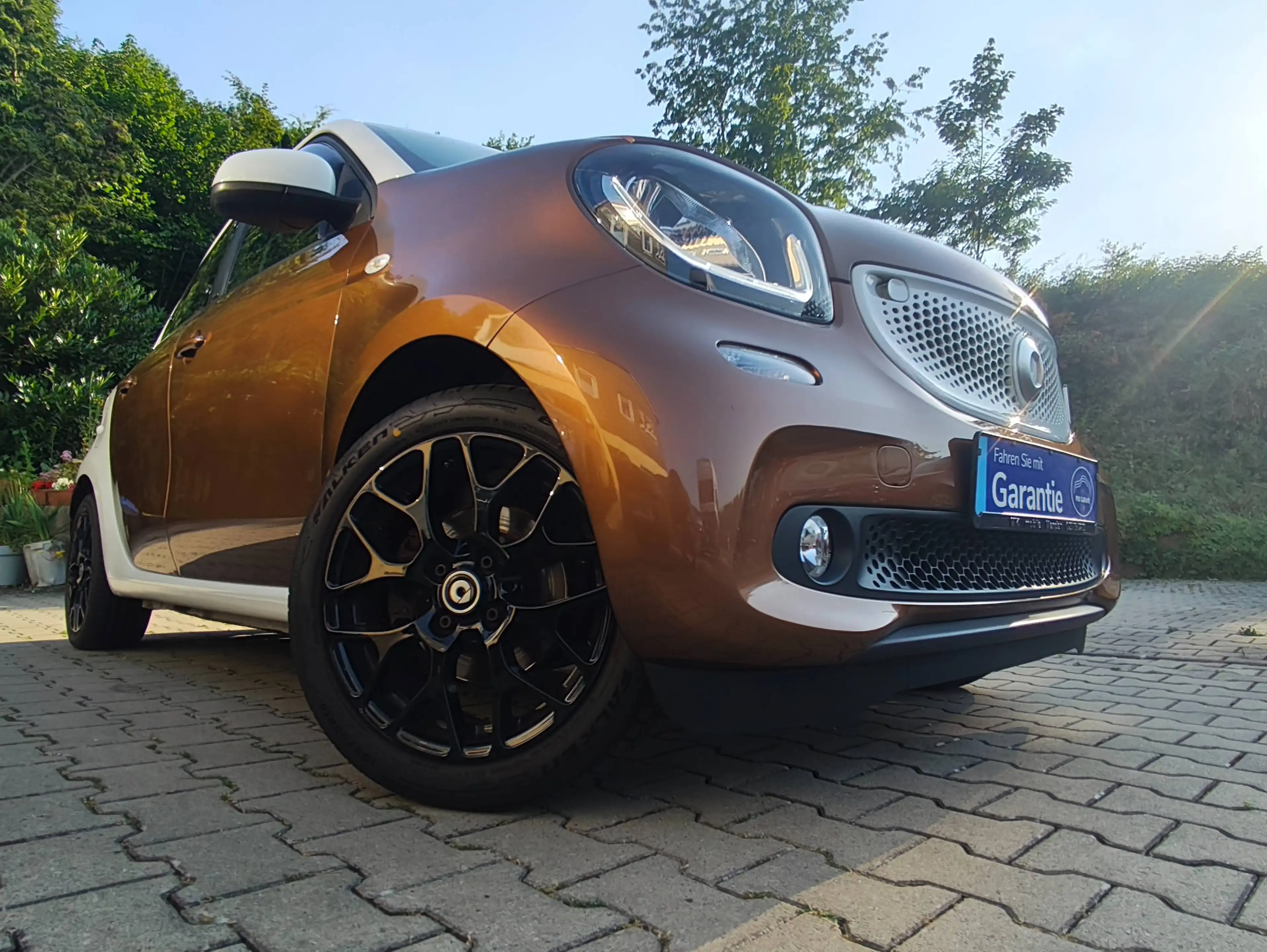 smart forFour Prime52 kW (453.042)/Sport-Paket/Vollleder/2 farbig Brown White/Navi/Bluetooth/Sitzhzg/LED/PDC/ — photo 4