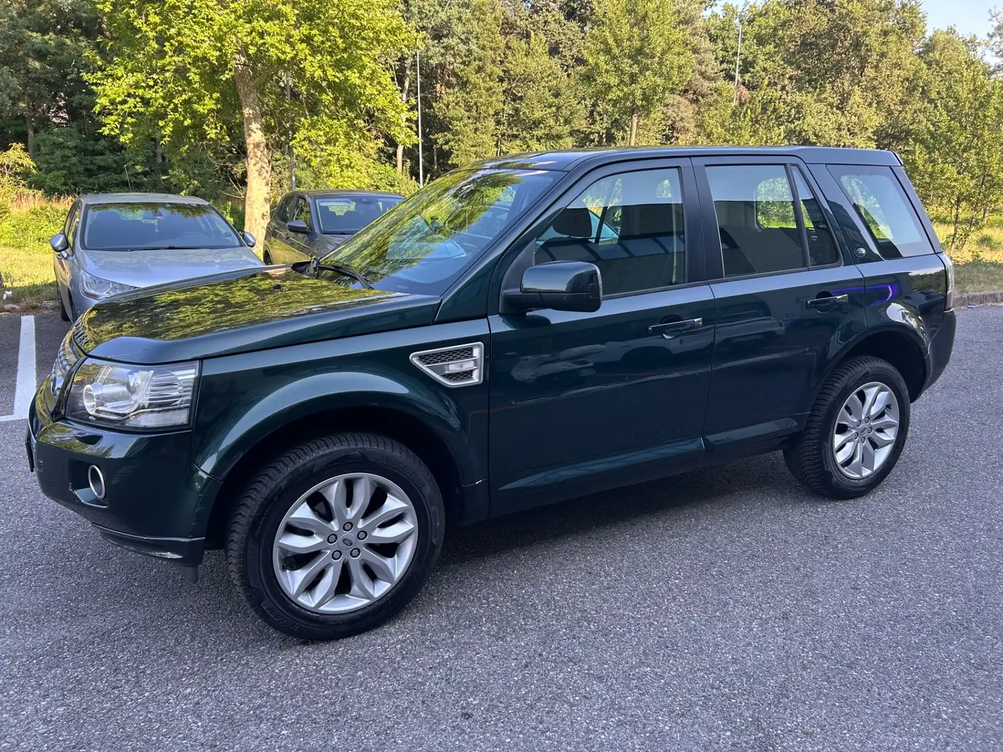 Land Rover Freelander 2.2 SD4 S.W. HSE Luxury Vert - 1