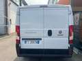 Fiat Ducato 30 CH1 2.0 mjt 115cv E6 Bianco - thumbnail 4