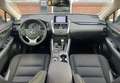 Lexus NX 300h 300h 2,5 hybrid 197cv 4wd - thumbnail 5
