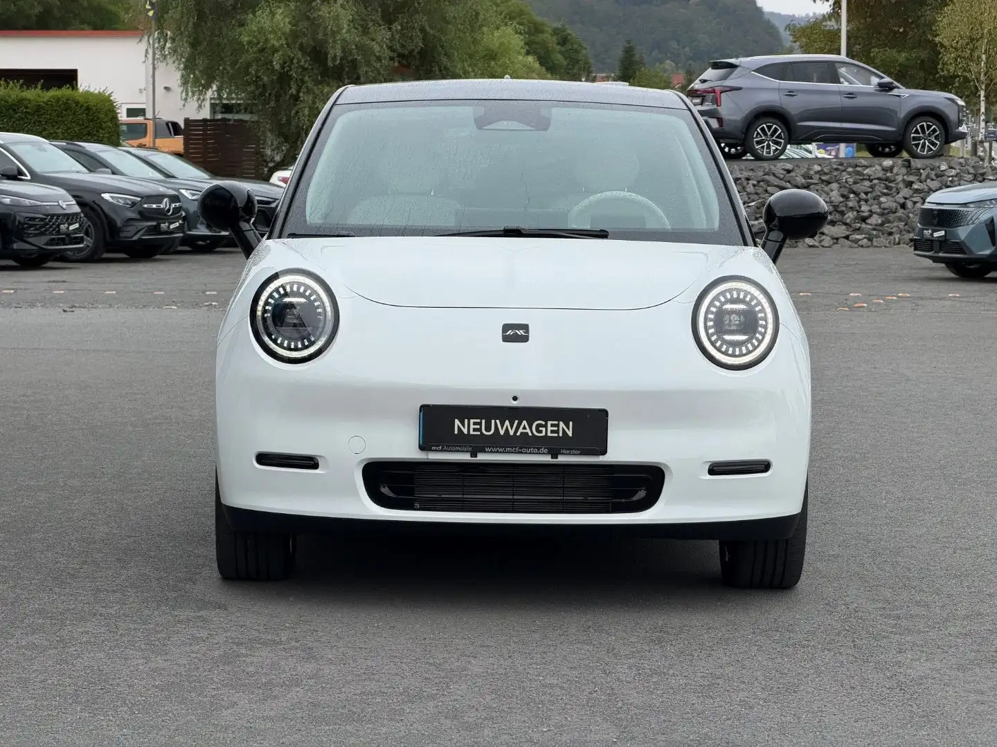 JAC Sonstige E30X Nordic Edition 50 *Pano*Leder*360Grad Weiß - 2