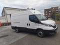 Iveco Daily 35 S 14A8 V Weiß - thumbnail 1