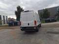 Iveco Daily 35 S 14A8 V Weiß - thumbnail 2