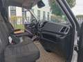 Iveco Daily 35 S 14A8 V Weiß - thumbnail 6