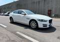 Jaguar XE XE 2.0d Prestige 180cv *AUTOMATICO-EURO6* Bílá - thumbnail 1