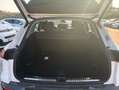 Audi Q5 Advanced TDI quattro 150kW S tronic Blanco - thumbnail 8