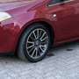 Fiat Bravo 1.6 mjt Msn edition 120cv - thumbnail 11