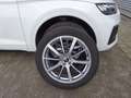 Audi Q5 SPORTB 40 TDI QUATTRO SPORT STANDHEIZ MATRIX Weiß - thumbnail 2