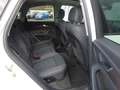 Audi Q5 SPORTB 40 TDI QUATTRO SPORT STANDHEIZ MATRIX Weiß - thumbnail 13