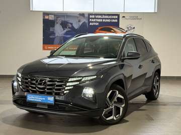Trend Plug-In Hybrid 4WD NAVI+KAMERA+SHZ