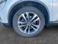 Renault Koleos II INTENS ENERGY DCI 175 4X4 X-TRONIC Bianco - thumbnail 7