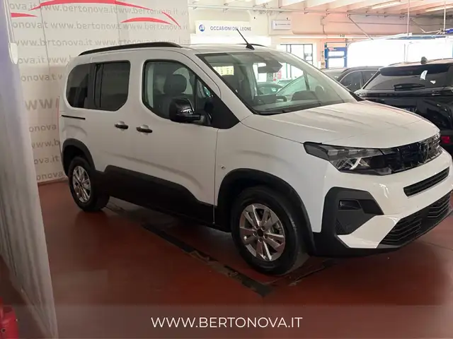 Peugeot Rifter view 2