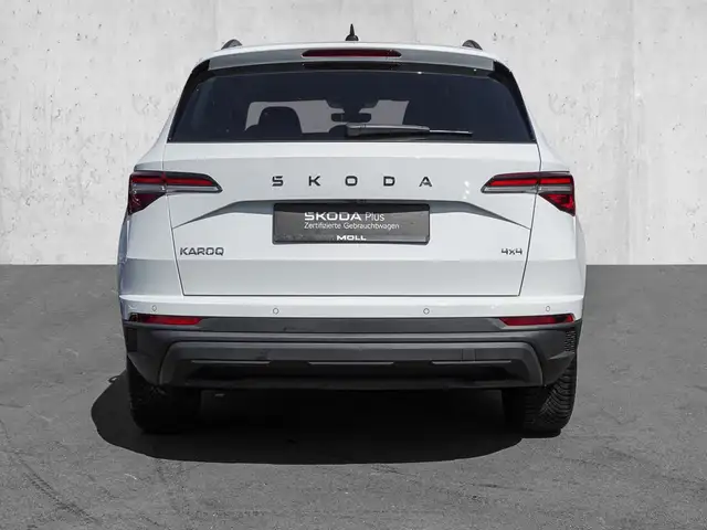 Skoda Karoq view 6