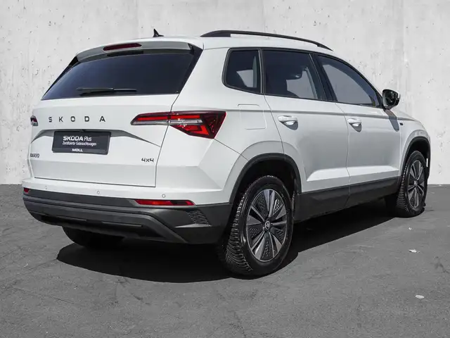 Skoda Karoq view 4