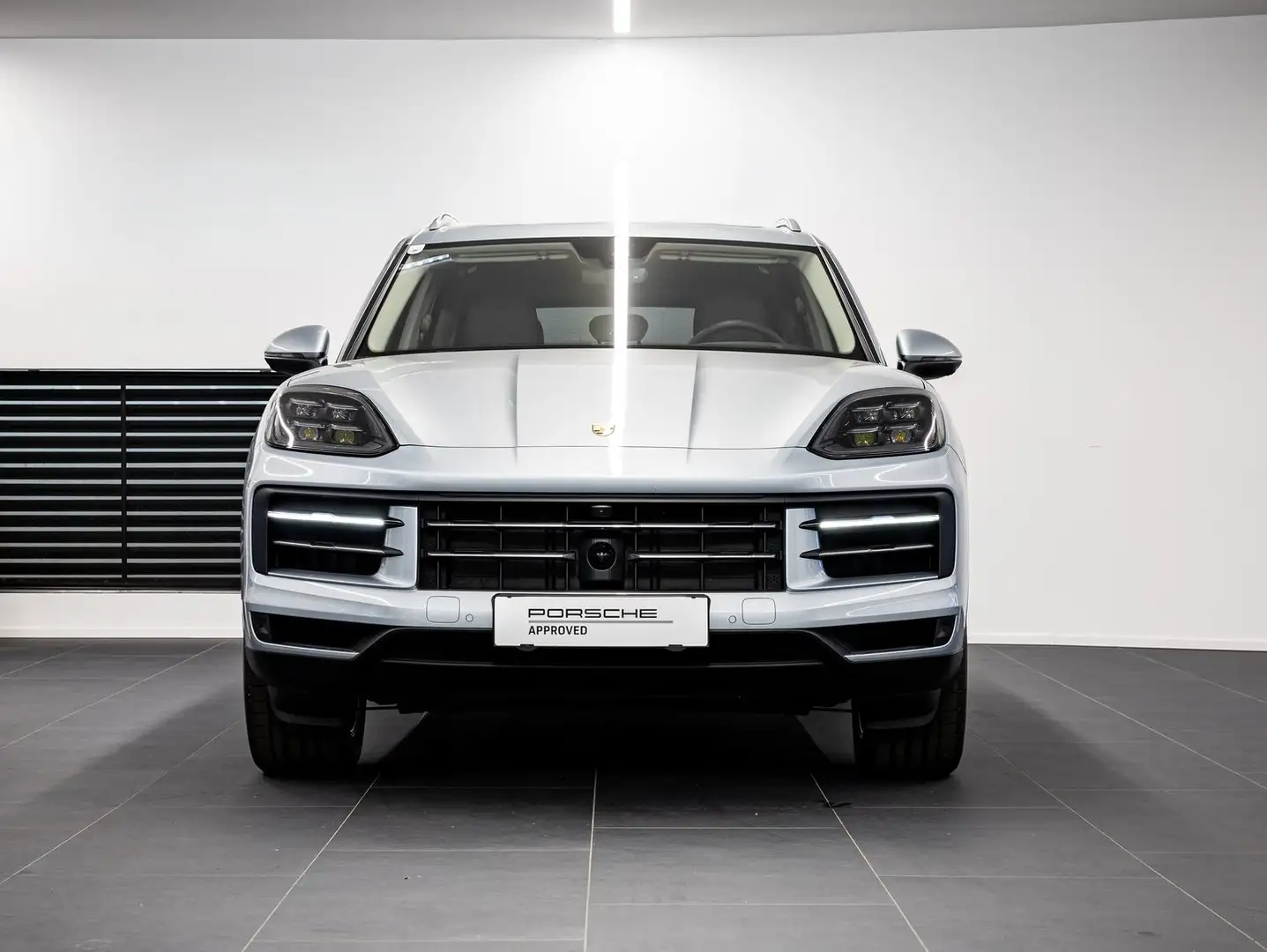 Porsche Cayenne E-Hybrid Grau - 2
