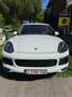 Porsche Cayenne S Hybrid Tiptronic - thumbnail 1