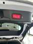 Mercedes-Benz B 220 B 220 d Automatik Progressive Business Navi TOP Blanc - thumbnail 19