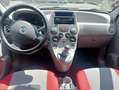 Fiat Panda 1.3 MJT 16V 4x4 Climbing *ok neopatentati* Azul - thumbnail 9
