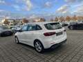 Mercedes-Benz B 220 d +AHK+PROGRESSIVE+Progressive+LED+Cam+PTS Blanc - thumbnail 7