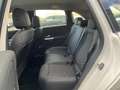 Mercedes-Benz B 220 d +AHK+PROGRESSIVE+Progressive+LED+Cam+PTS Blanc - thumbnail 12