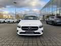 Mercedes-Benz B 220 d +AHK+PROGRESSIVE+Progressive+LED+Cam+PTS Blanc - thumbnail 2