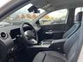 Mercedes-Benz B 220 d +AHK+PROGRESSIVE+Progressive+LED+Cam+PTS Blanc - thumbnail 11