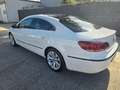 Volkswagen CC Sport 1.4 TSI**STHZ,XENON,GRA** Weiß - thumbnail 5