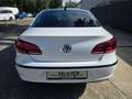 Volkswagen CC Sport 1.4 TSI**STHZ,XENON,GRA** Weiß - thumbnail 7