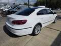 Volkswagen CC Sport 1.4 TSI**STHZ,XENON,GRA** Weiß - thumbnail 6