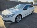 Volkswagen CC Sport 1.4 TSI**STHZ,XENON,GRA** Weiß - thumbnail 3