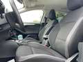 Ford Focus Focus 1.5 EcoBlue 120 CV automatico 5p. Business Blau - thumbnail 11