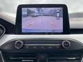Ford Focus Focus 1.5 EcoBlue 120 CV automatico 5p. Business Blau - thumbnail 15