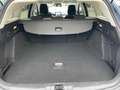 Ford Focus Focus 1.5 EcoBlue 120 CV automatico 5p. Business Blau - thumbnail 21