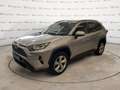 Toyota RAV 4 RAV4 2.5 HV (218CV) E-CVT 2WD Dynamic Grigio - thumbnail 1