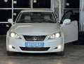 Lexus IS 220d IS 220 d Business Leder Xenon Sitzheizung Sitzlüftung el. Rollo Weiß - thumbnail 1