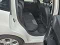Citroen C3 S (Neue Pickerl)Servicegepflegt, Tempomat,Klima Weiß - thumbnail 19