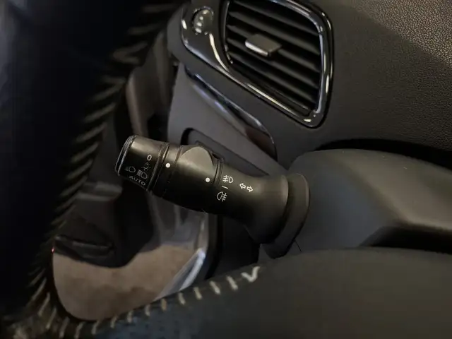 Renault Scenic view 13