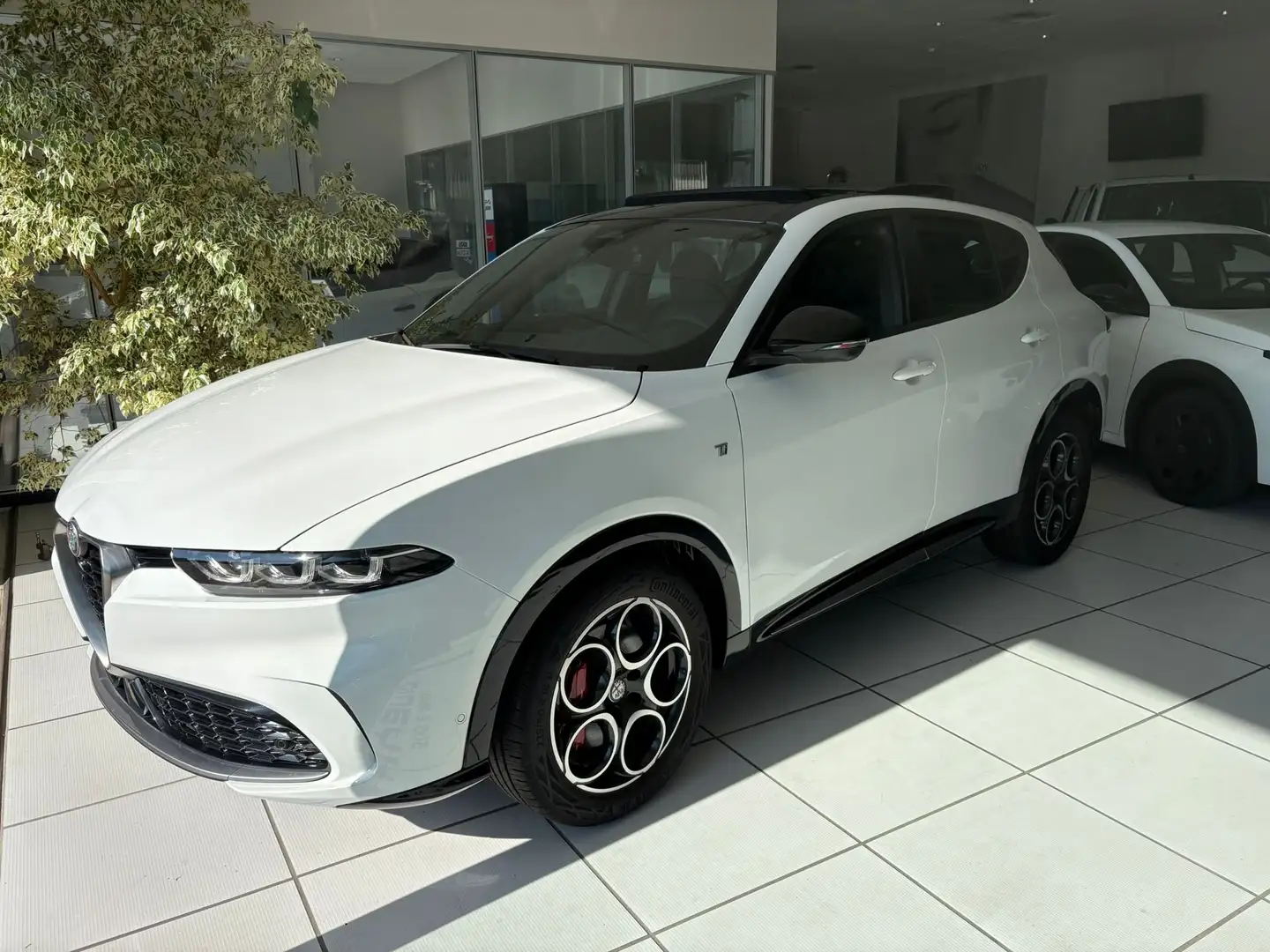 Alfa Romeo Tonale Tonale 1.5 hybrid Tributo Italiano 160cv tct7 Blanco - 1