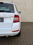 Skoda Fabia Combi 1.0 TSI Pano Schaal Carplay Navi ACC Clima Wit - thumbnail 31