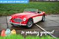Austin-Healey 100 6 Rojo - thumbnail 6