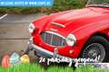 Austin-Healey 100 6 Rojo - thumbnail 3