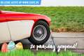 Austin-Healey 100 6 Rojo - thumbnail 10